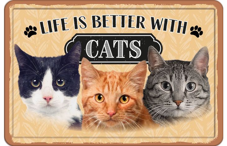 Plenty Gifts Bord blik A4 Life is Better with Cats (h)