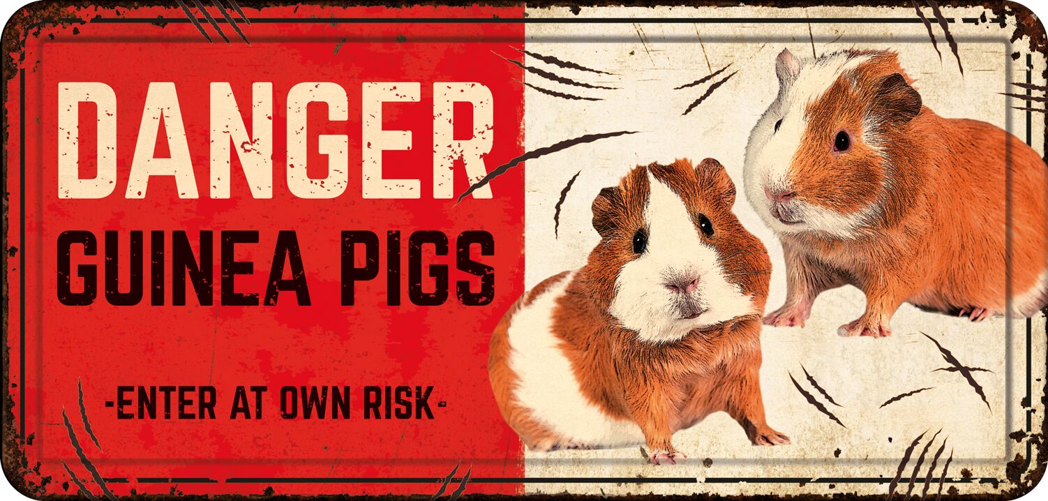 Plenty Gifts Bord blik HL Danger Guinea Pigs