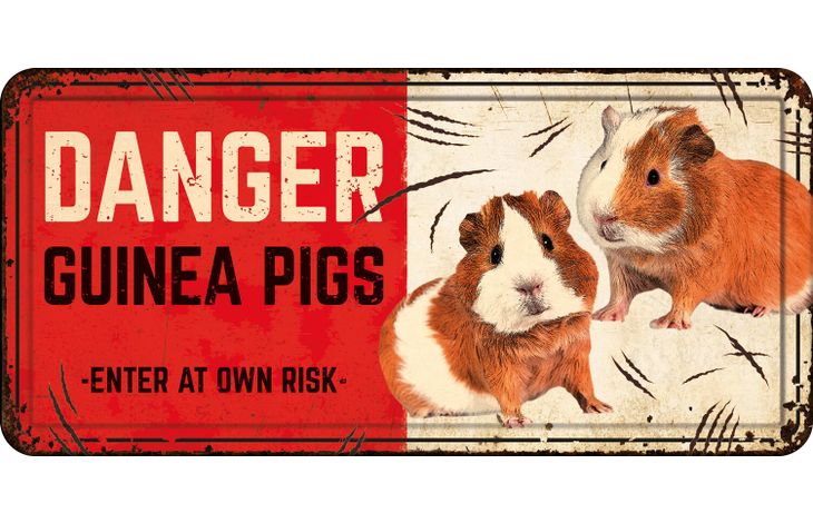 Plenty Gifts Bord blik HL Danger Guinea Pigs
