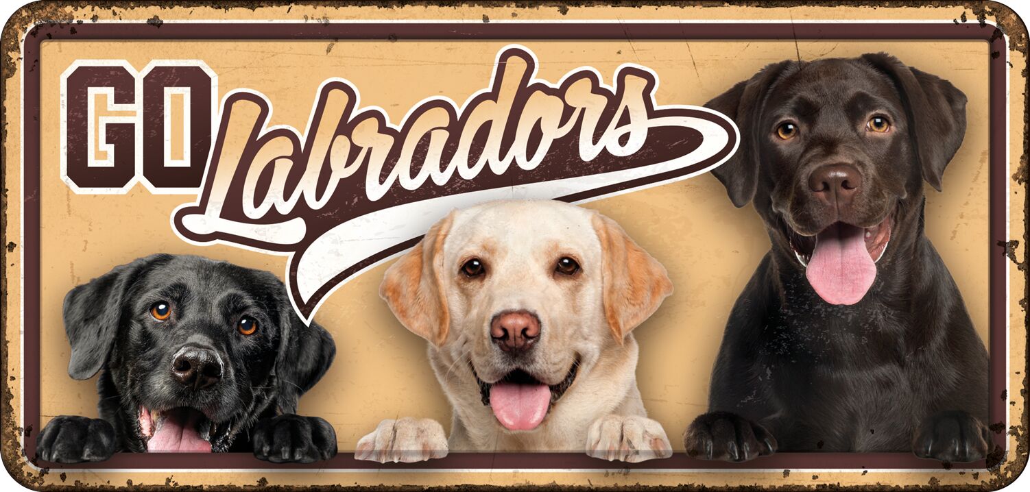 Plenty Gifts Bord blik HL Go Labradors