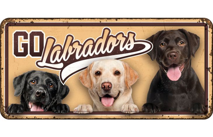 Plenty Gifts Bord blik HL Go Labradors
