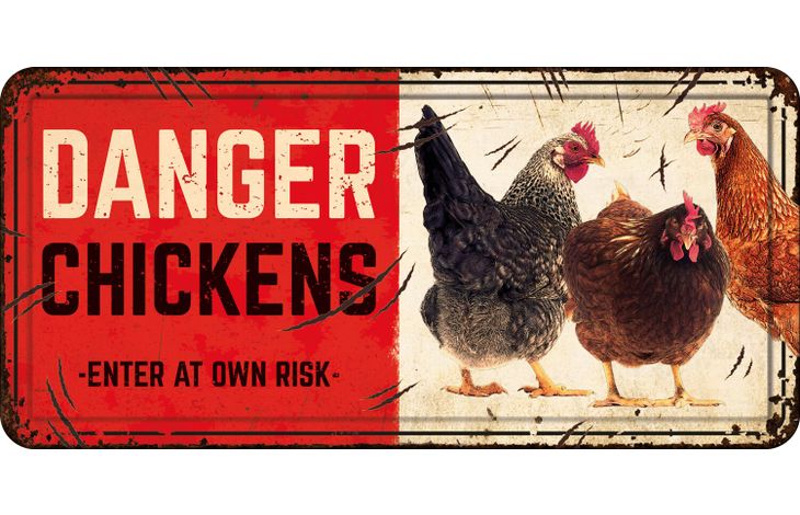 Plenty Gifts Bord blik HL Danger Chickens