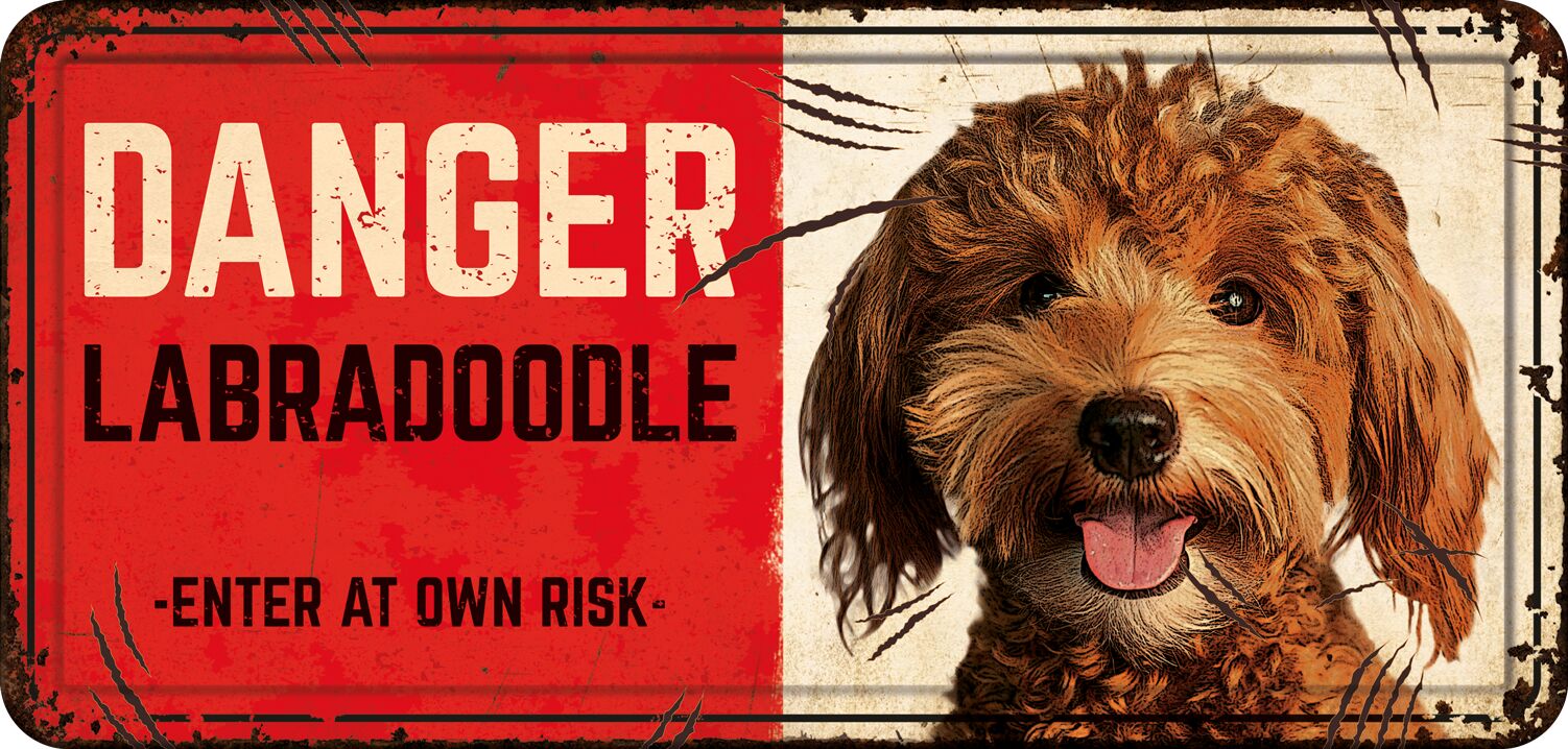 Plenty Gifts Bord blik HL Danger Labradoodle
