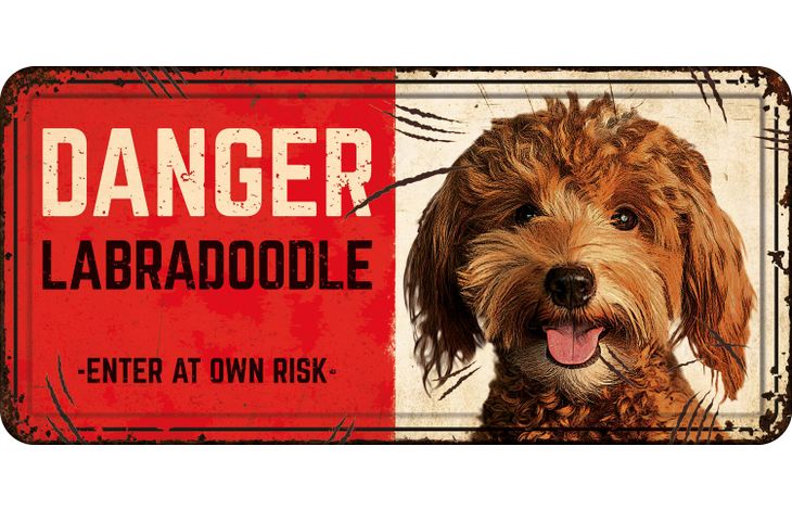 Plenty Gifts Bord blik HL Danger Labradoodle