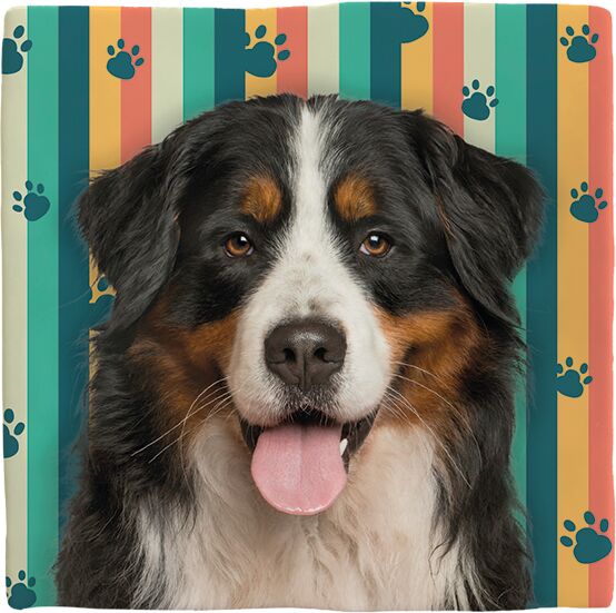 Plenty Gifts Deco Tile Bernese