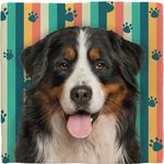 Deco Tile Bernese