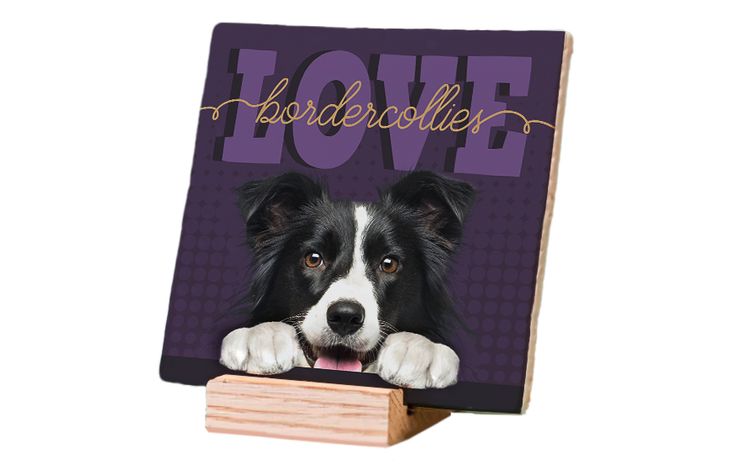 Plenty Gifts Deco Tile Border Collie Love