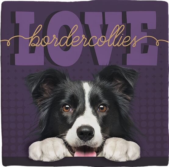 Plenty Gifts Deco Tile Border Collie Love