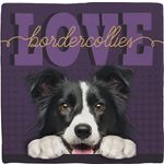 Deco Tile Border Collie Love
