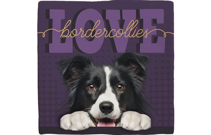 Plenty Gifts Deco Tile Border Collie Love