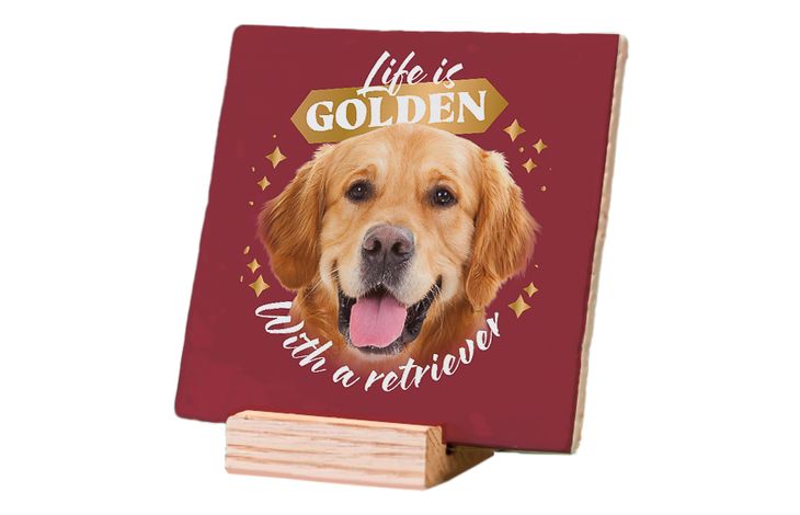 Plenty Gifts Deco Tile Golden Retriever Life