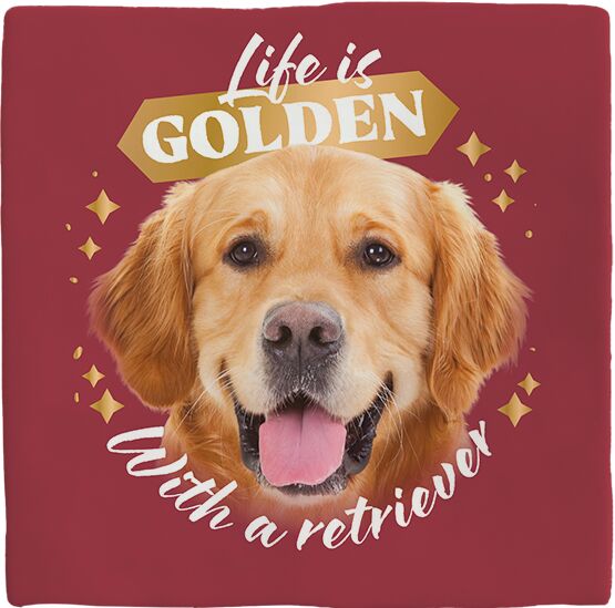 Plenty Gifts Deco Tile Golden Retriever Life