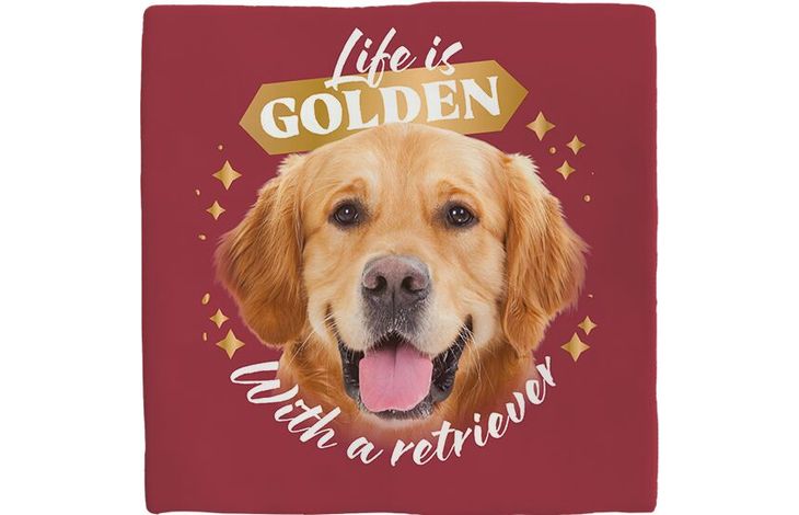 Plenty Gifts Deco Tile Golden Retriever Life