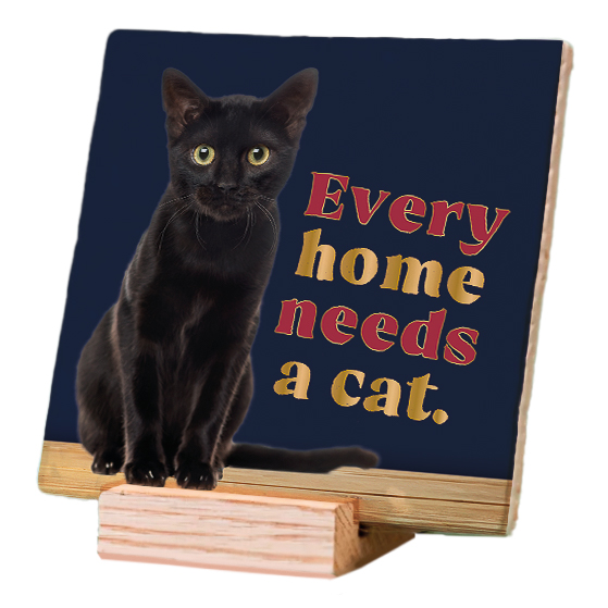 Plenty Gifts Deco Tile Black Cat Home