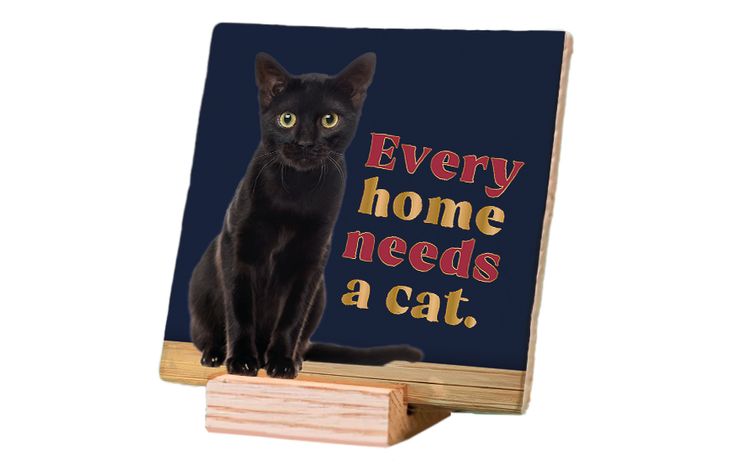 Plenty Gifts Deco Tile Black Cat Home