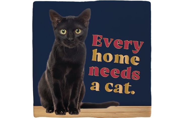 Plenty Gifts Deco Tile Black Cat Home
