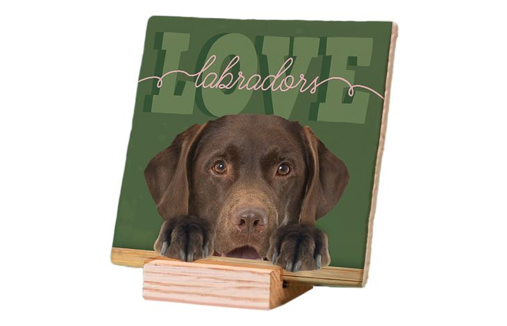 Plenty Gifts Deco Tile Labrador Love