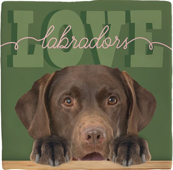 Plenty Gifts Deco Tile Labrador Love