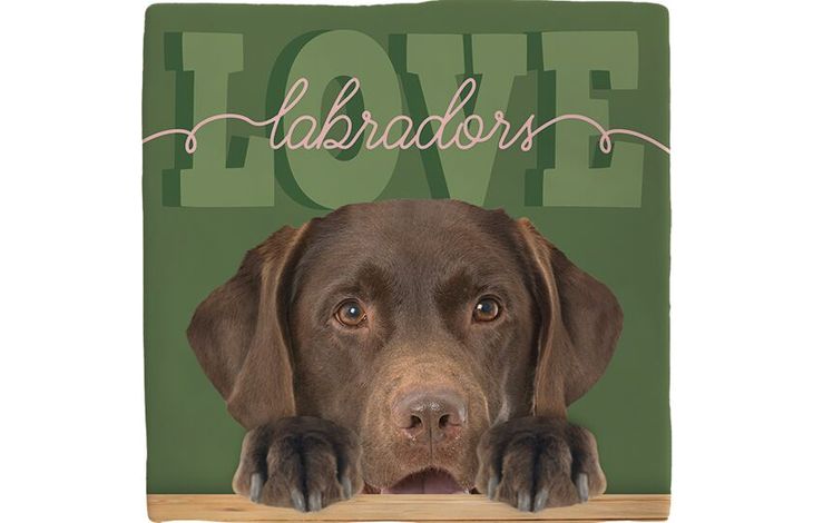 Plenty Gifts Deco Tile Labrador Love