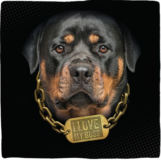 Plenty Gifts Deco Tile Rottweiler Love my Boss