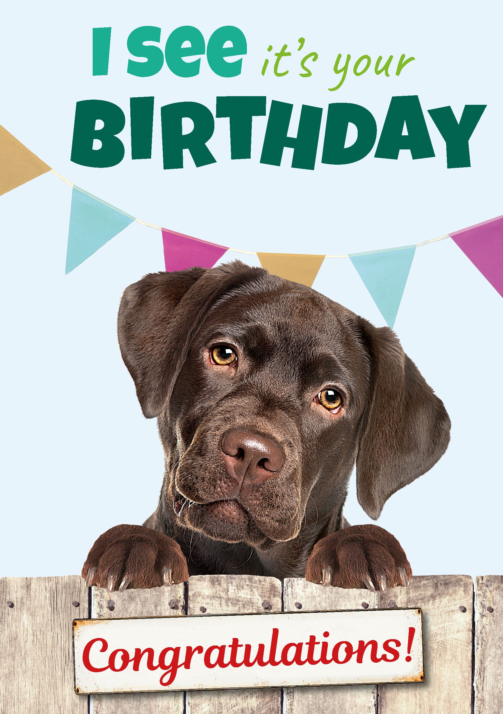 Plenty Gifts Kaart A5 I See It's Your Bday Lab (v)