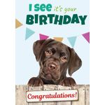 Kaart A5 I See It's Your Bday Lab (v)