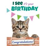 Kaart A5 I See It's Your Bday Cat (v)