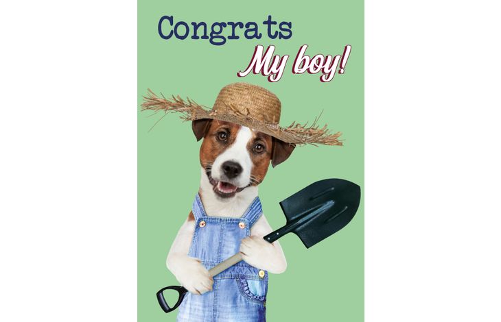 Plenty Gifts Kaart A5 Congrats My Boy (v)