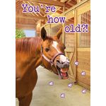 Kaart A5 Funny Horse (v)