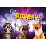 Kaart A5 Hip Hip Hooray (h)