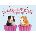 Kaart A5 Bigger Cake (h)