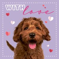 Plenty Gifts Kaart With Love Labradoodle