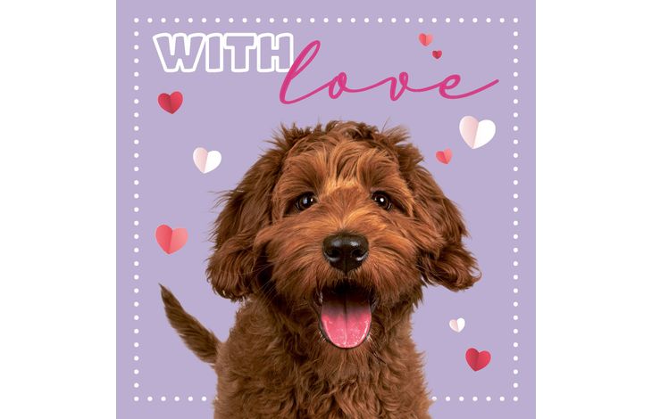 Plenty Gifts Kaart With Love Labradoodle