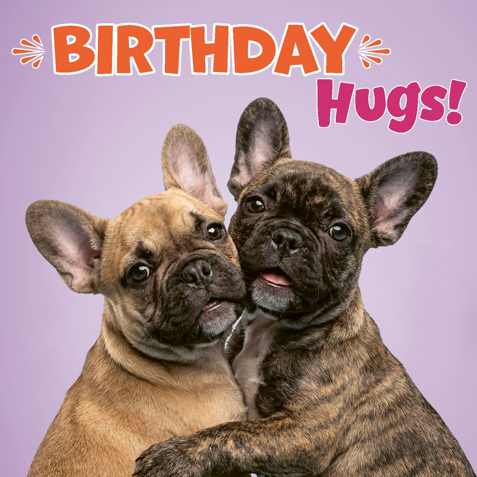 Plenty Gifts Kaart Birthday Hugs