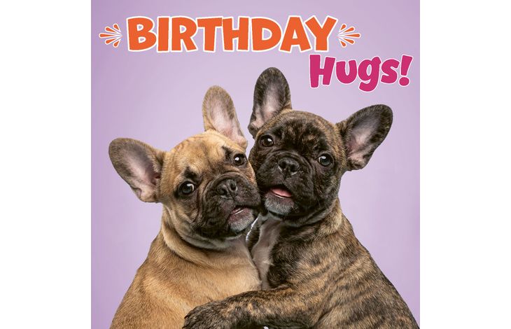 Plenty Gifts Kaart Birthday Hugs
