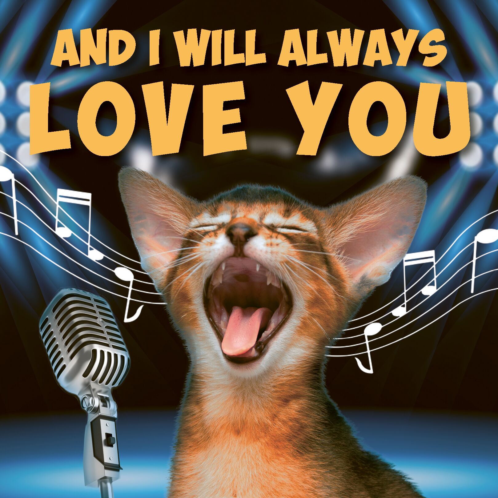 Plenty Gifts Kaart I Will Always Love You
