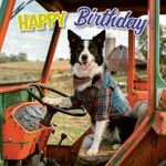 Kaart Border Collie Tractor