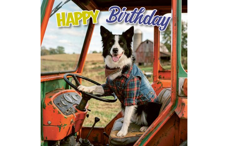 Plenty Gifts Kaart Border Collie Tractor