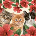 Kaart CS Kittens Flowers