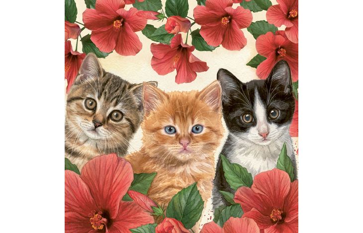 Plenty Gifts Kaart CS Kittens Flowers