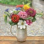 Kaart CS Flowers In Garden