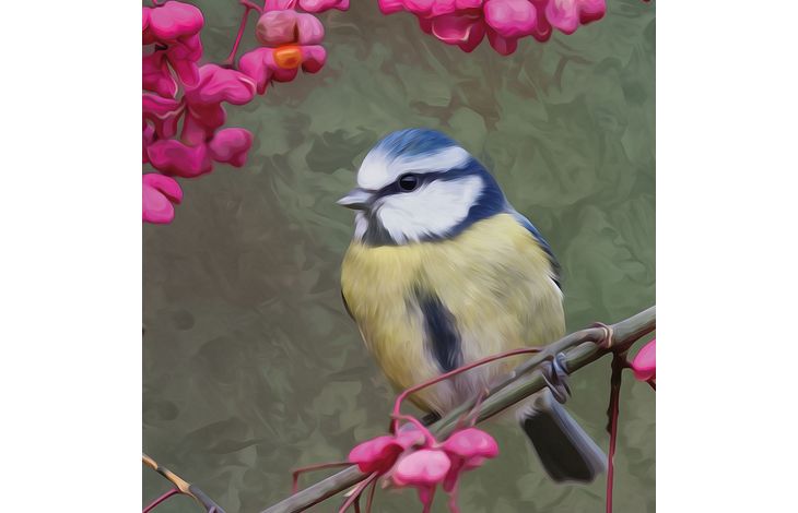 Plenty Gifts Kaart CS Blue Tit Pink