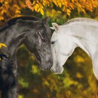 Plenty Gifts Kaart CS Loving Horses