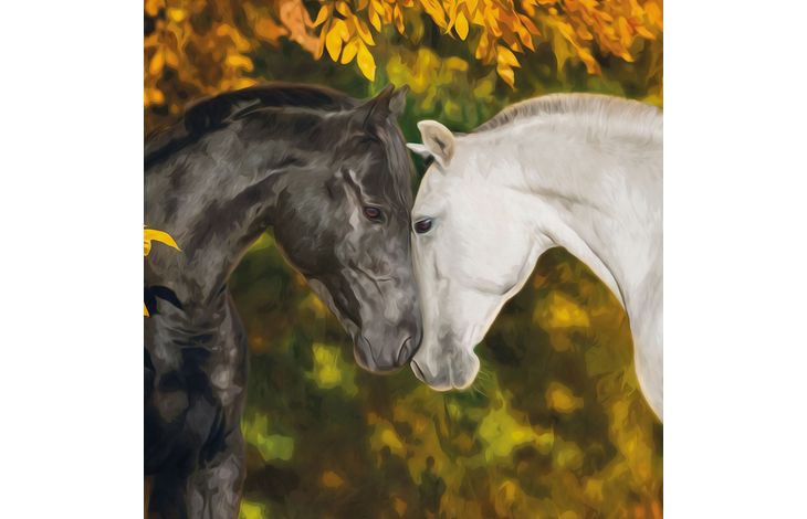 Plenty Gifts Kaart CS Loving Horses