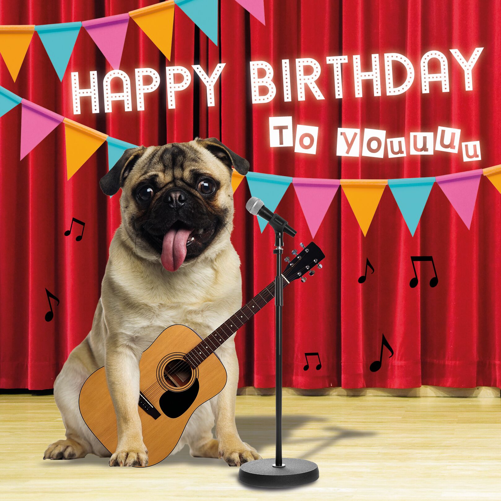 Plenty Gifts Kaart Birthday Pug