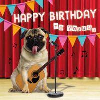 Plenty Gifts Kaart Birthday Pug
