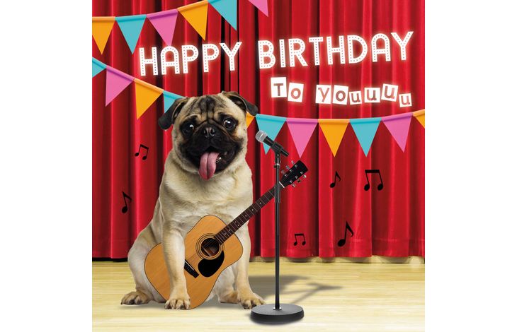 Plenty Gifts Kaart Birthday Pug