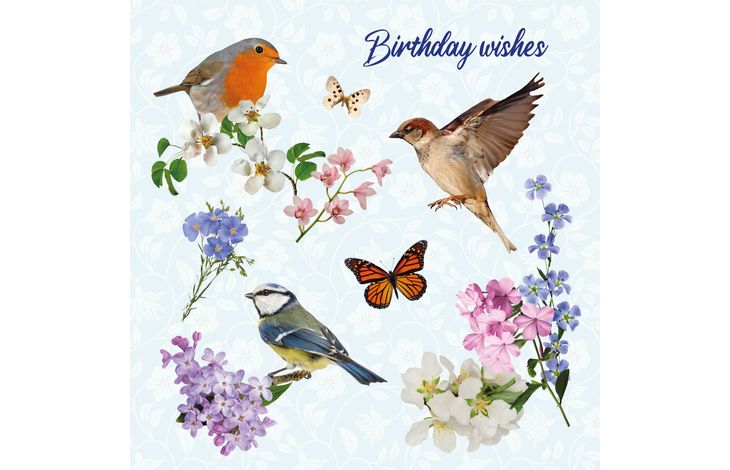 Plenty Gifts Kaart Birthday Wishes Birds