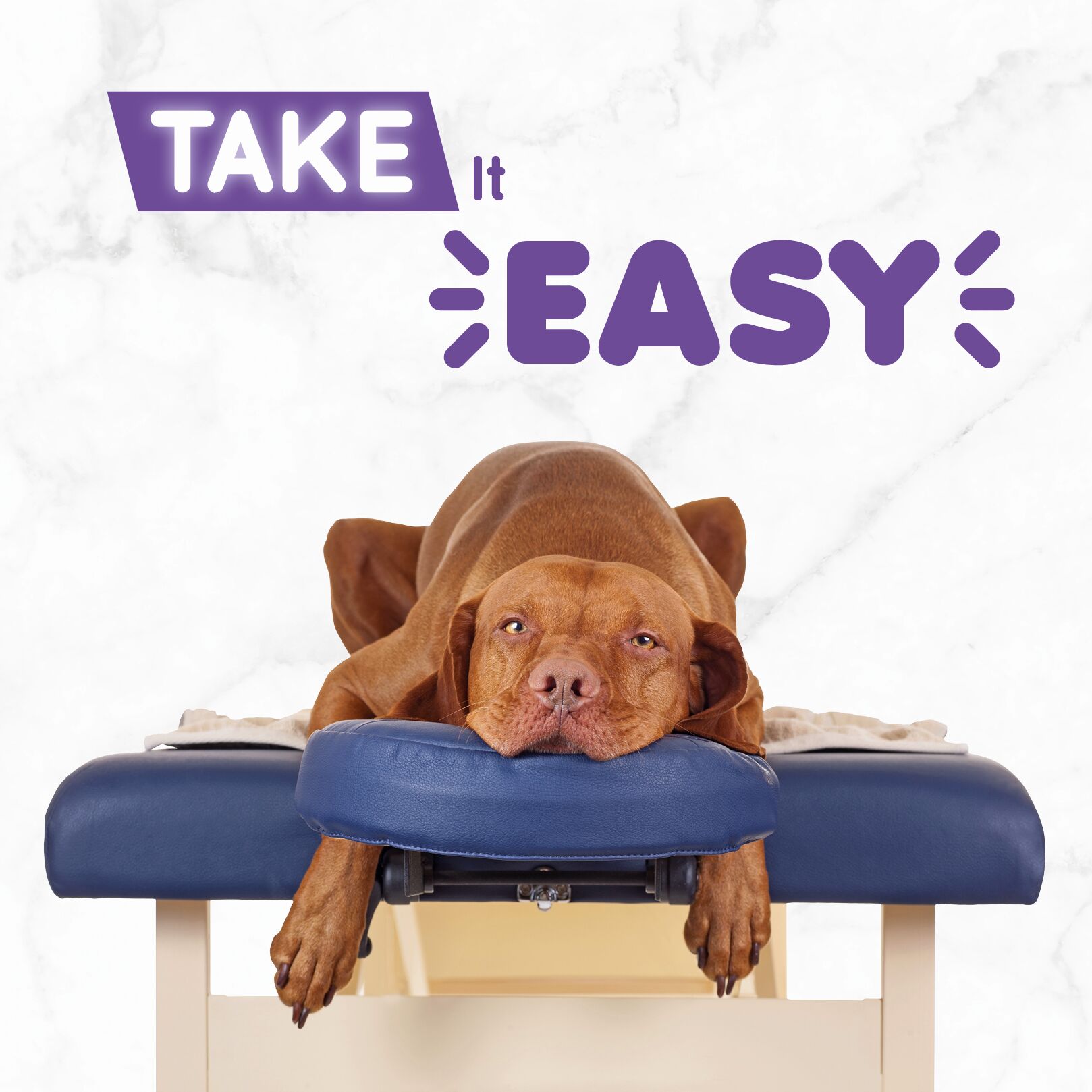 Plenty Gifts Kaart Take It Easy