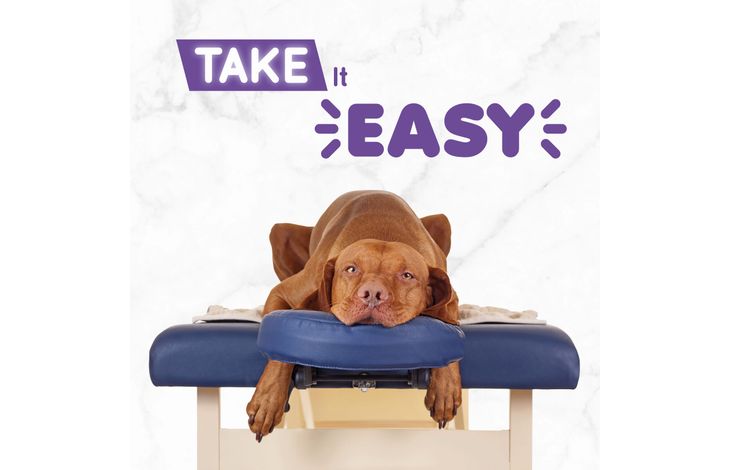 Plenty Gifts Kaart Take It Easy